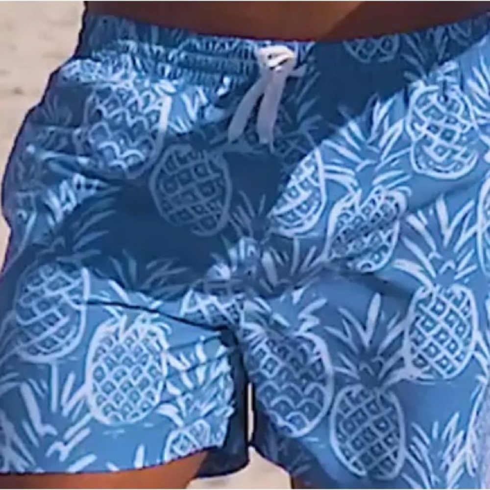 Chubbies Blue and White Pineapple Swim Trunks shorts
